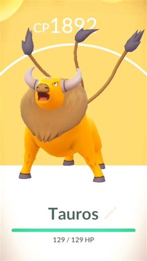 Shiny Tauros Encounter After Long Hunt! #pokemongo