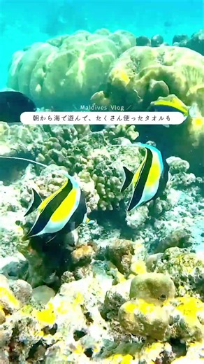 モルディブ旅行まとめ④ – Maldives Vlog