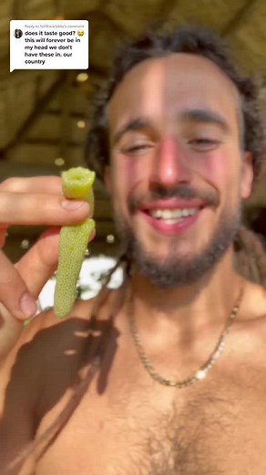 Unique Alien-Looking Fruit Tastes Like Honey and Maple Syrup