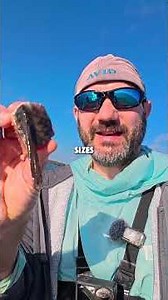 Catfish rig explained