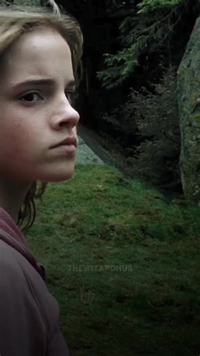 them>>>everyone else #foryou #foryoupage #harrypotter #hermionegranger #velocity #edit