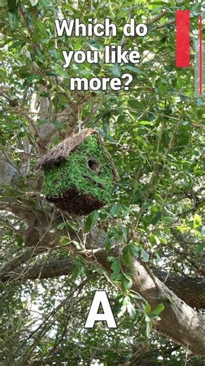 Testing My New ND + CPL Filter ☀️