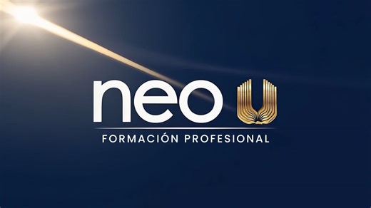 T1 La Neurona Tipos y Estructura