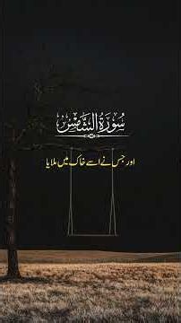 Quran Translation #quranictranslation #quran