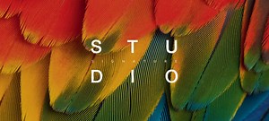 Signature Studio Custom Carpets Options | Custom Commercial Carpet