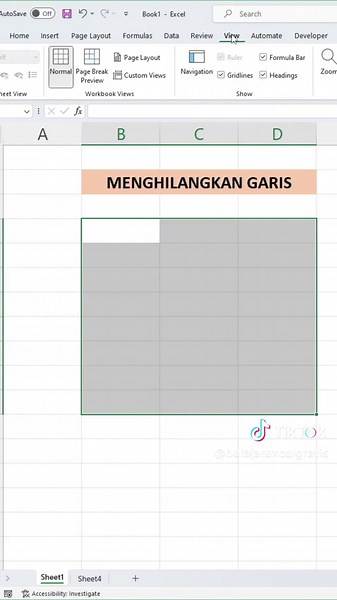 Cara Menghilangkan Garis-garis di Excel tampilan menjadi polos #trikexcel #tipsexcel #belajarexcelgratis #tutorialexcel