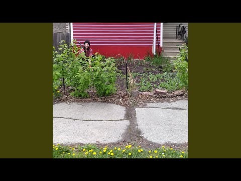 Grumpy Lion Leo Rising (solo on piano)
