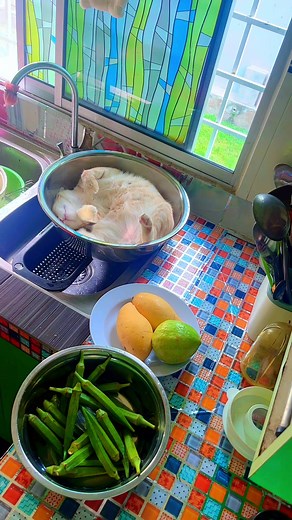 Resepi Bendi Mudah & Sedap — Masak Simple dengan Bendi