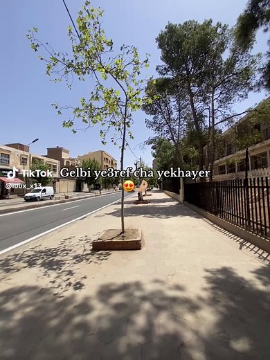 #algeria #fyp #explore #الشعب_الصيني_ماله_حل😂😂 #paratiiiiiiiiiiiiiiiiiiiiiiiiiiiiiii #pourtoi #tlemcen #oran