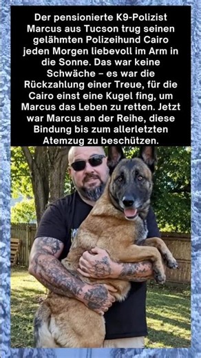 Treue bis zum Äußersten: Die Liebe zwischen einem Polizisten und seinem Hund 🐾. #shortvideo