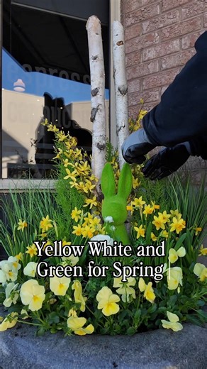 My favorite yellow white and green combo for spring 🌿 #fblifestyle #daffodils #birch #forsythia | the.wreath.coach