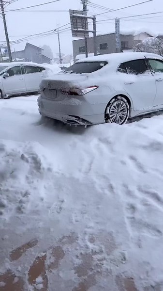 純正から現在まで#オススメ乗ってたら教えて #axvh70 #70カムリ #レオンハルト #バイファル #vsxv #宮城 #シャドウバン解除して #fyp