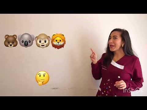 Secuencias y patrones