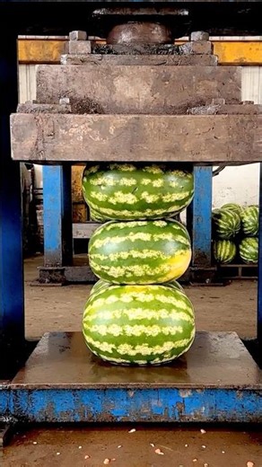 Watermelon vs. 250 Ton Hydraulic Press 🤯🔥 #hydraulicpress #crushing #satisfying #viral