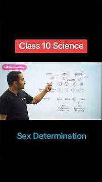 How to get A+ on SEE 2083 Exam 🎯| SEE 2082 | Grade 10 SEE | | Class 10 Guide | SEE Routine 2083
