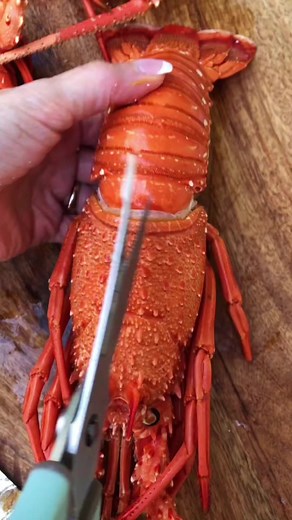 734K views · 3.4K reactions | Let’s prep a whole lobster 咽 #fyp #cooking #lobster #cray #crayfish #yum #y | Log Home Tips | Facebook