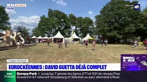 Le concert de David Guetta aux Eurockéennes 2024 affiche déjà complet | BFM Alsace
