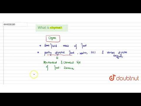 What is chyme? | 9 | DIGESTIVE SYSTEM | BIOLOGY | ICSE | Doubtnut