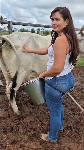 Amazing Cow Milking Process on Farm | Fresh Milk Collection by Hand | Rural Farm Life #villagelife