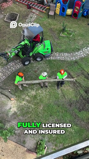 Tree Service Insurance Secrets Revealed! #uppbeat #diy #treecutting