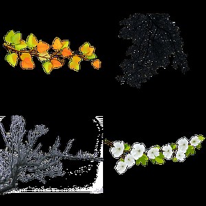 Bushes and Branches transparent PNG images - StickPNG