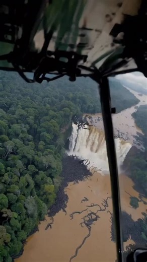 Discover the astonishing sight of thousands of gigantic anacondas gathering in a mysterious waterfall deep within the Amazon Rainforest. Watch their massive bodies dominate the swampy waters as nature reveals one of its most incredible and rare phenomena. Could this be the largest anaconda congregation ever recorded? Dive into the wild with us! Hashtags #AmazonAnaconda #MassiveAnacondas #AmazonWaterfall #RainforestMystery #GiantSnakes #WildlifeWonder #NaturePhenomenon #SwampMonsters #JungleSecre