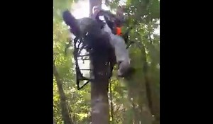 Video: Quick Reminder to Strap on a Safety Harness in a Treestand | OutdoorHub
