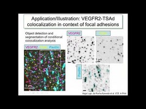Conditional colocalization analysis of three-color microscopy images
