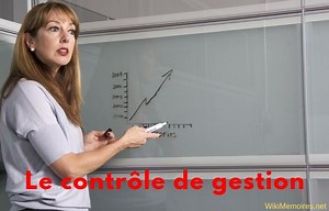 Le contrôle de gestion et la performance de l'entreprise