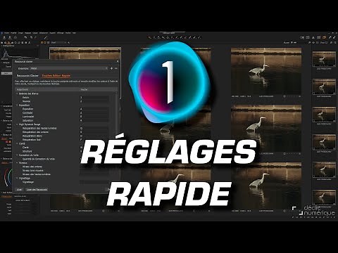 EDITEZ RAPIDEMENT vos PHOTOS en lot dans CAPTURE ONE PRO