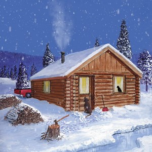 Topics covered in Backwoods Home Magazine: • Farm and garden • Food and recipes • Raising animals • Building/Projects • Making a living • Preparedness • Self-reliance • Canning And more... | Backwoods Home Magazine