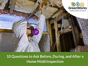 Questions to Ask Before, During, & After a Home Mold Inspection