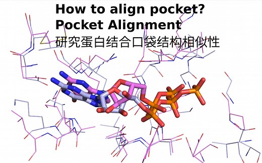 Pymol-蛋白结合口袋结构比较(pocket alignment)