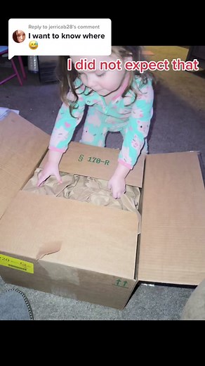 Replying to @jerricab28 #amazon #pallet #amazonpallet #amazonfinds #mysterybox #mysterybox #openpresent #openpackage #openpackage #tonsofboxes #christmaspresents #amazonpackage