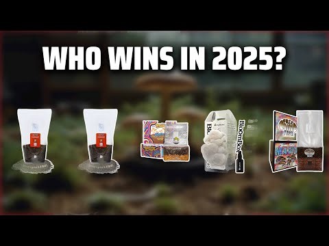 The Top 5 Best Mushroom Grow Kit in 2025 - Must Watch Before Buying!