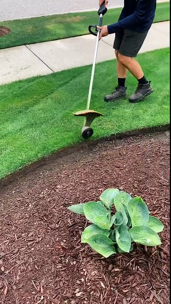 Trim That Edge Like a Pro! Satisfying Lawn Care in Action