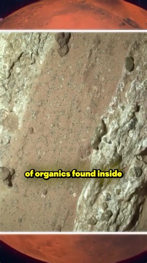 Did NASA Find Life on Mars? | The Space Race