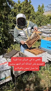 7.8K views · 106 reactions | Pure Farms on Reels | Facebook