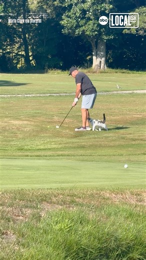 This golfer's game was interrupted by a furry friend! 🐈‍⬛ | Localish