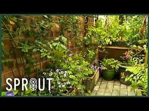 Monty Don's Tiny Backyard Transformation | Big Dreams, Small Spaces S2E3