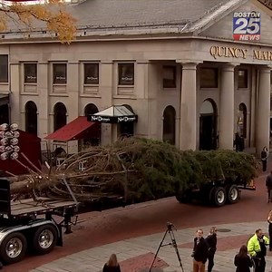 78K views · 2.7K reactions | Guess what arrived at Faneuil Hall Marketplace yesterday?  | Boston 25 News | Facebook