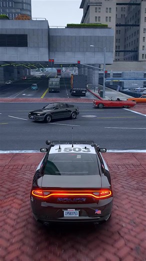 Insights from Live Police Traffic Stops