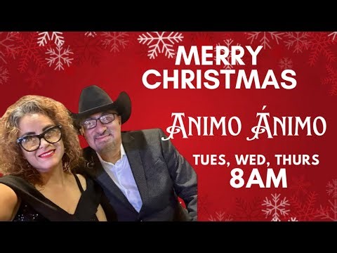 ANIMO ANIMO Live December 03