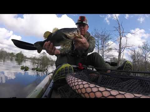 Searching In The Thick Stuff