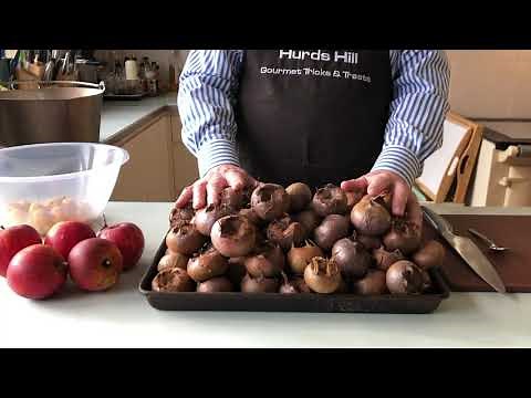 Medlar Jelly recipe