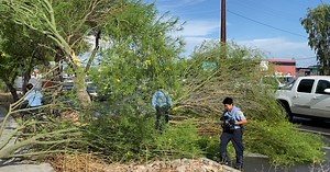 LIVE UPDATES: Crews clear damage from Tucson streets after Tuesday storm
