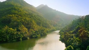 1.6K views · 49 reactions | 你知道嗎﹖在香港棲息的蝴蝶，現已超過240種。立即跟國家地理探險家Astrid...