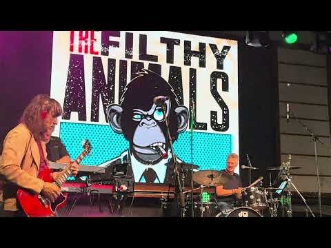 The Filthy Animals live- Whatever You Want. Rock the Boat 2024
