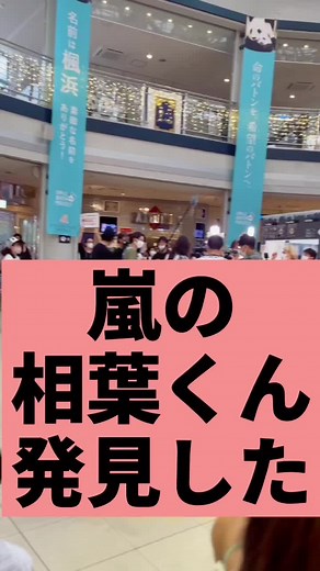 相葉雅紀とジャニーズファンの日常魅力