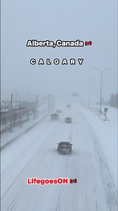 1.9M views · 26K reactions | #calgarywinter #calgaryfreezingrain #calgarysnowfall #Alberta #yyc #canada | Life Goes on | Facebook